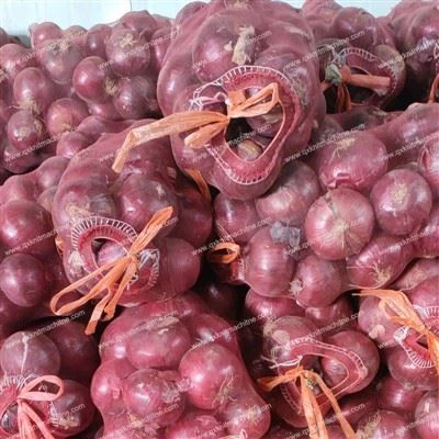 Луковая сетчатая сумка